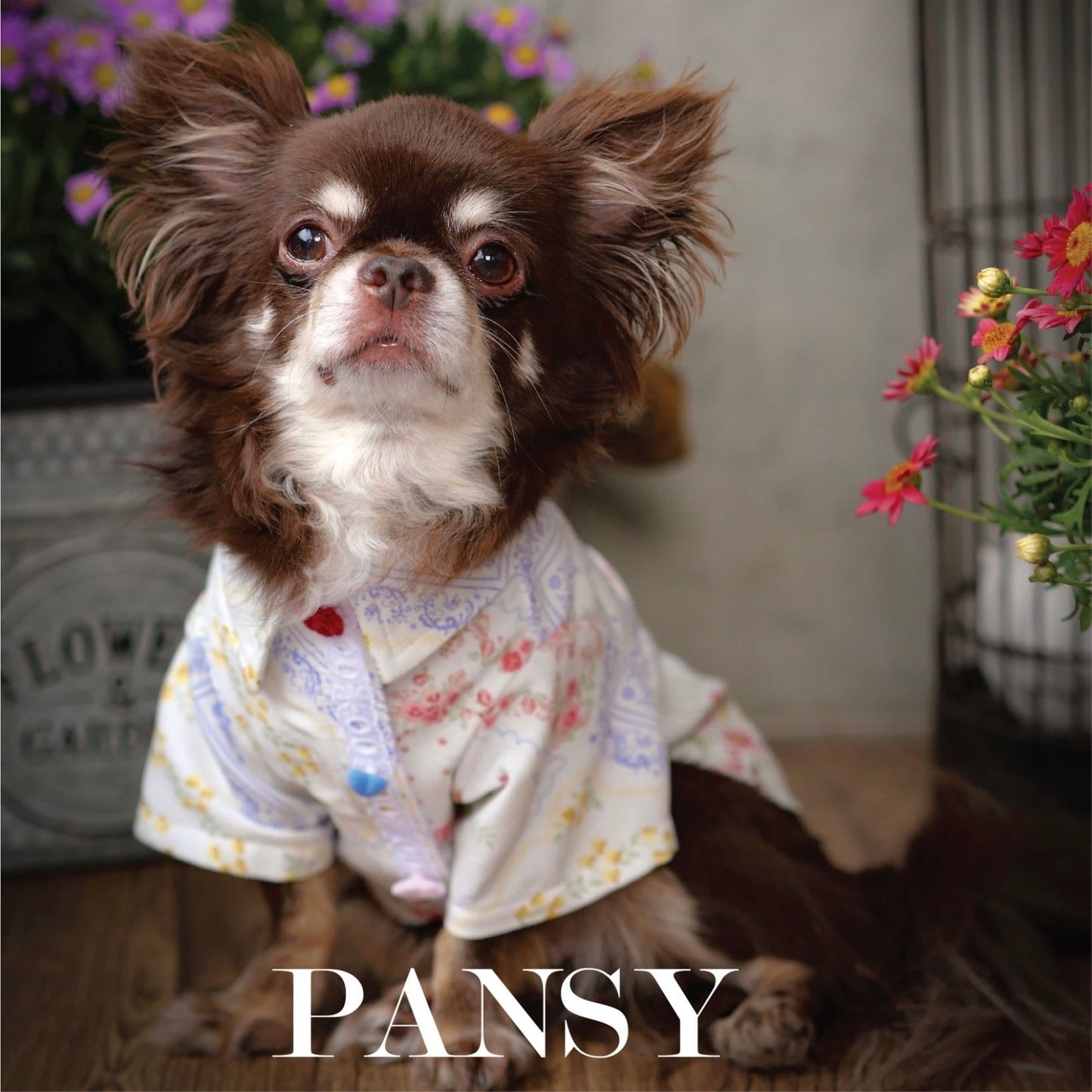 Pansy Shirt