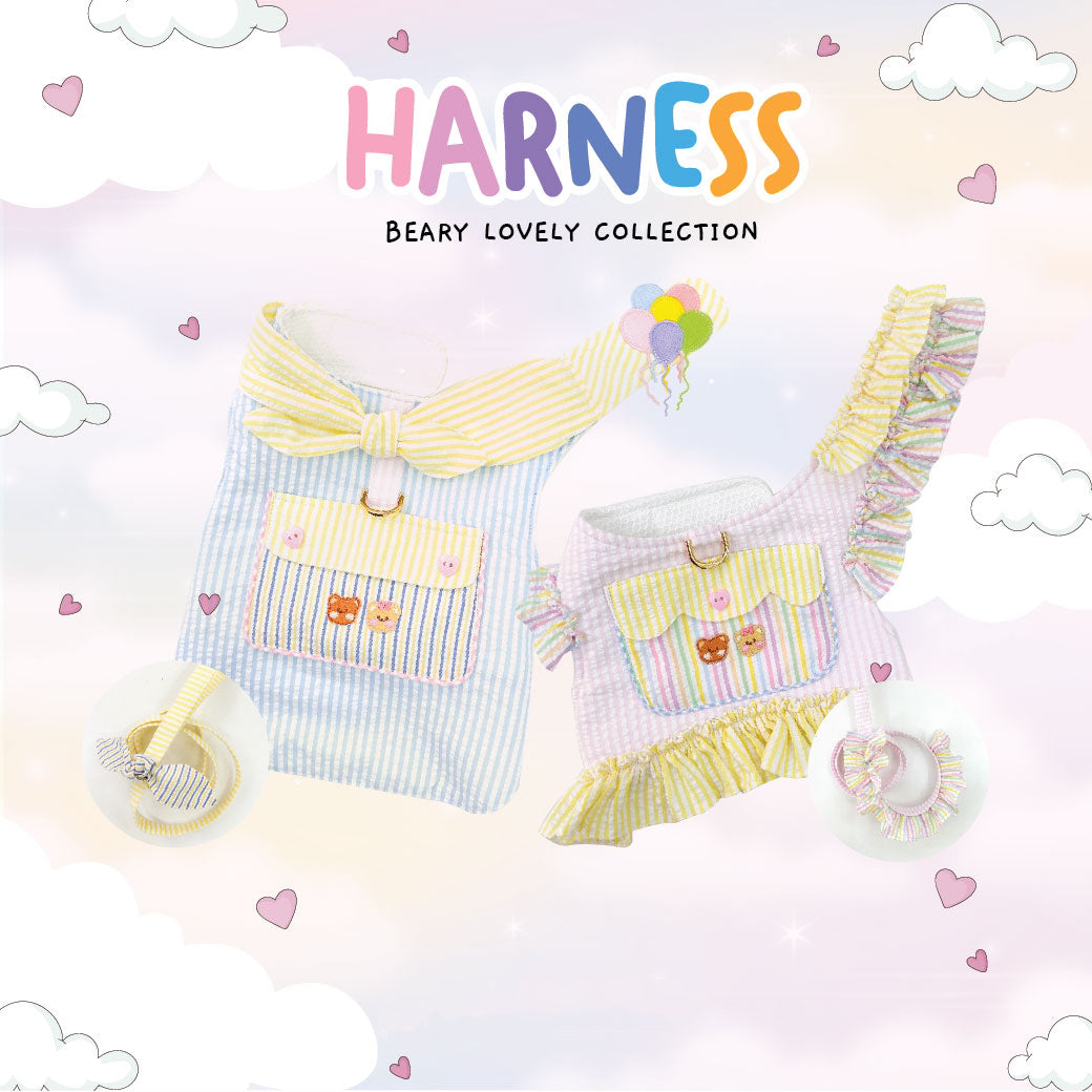 Beary Cute Boy Harness
