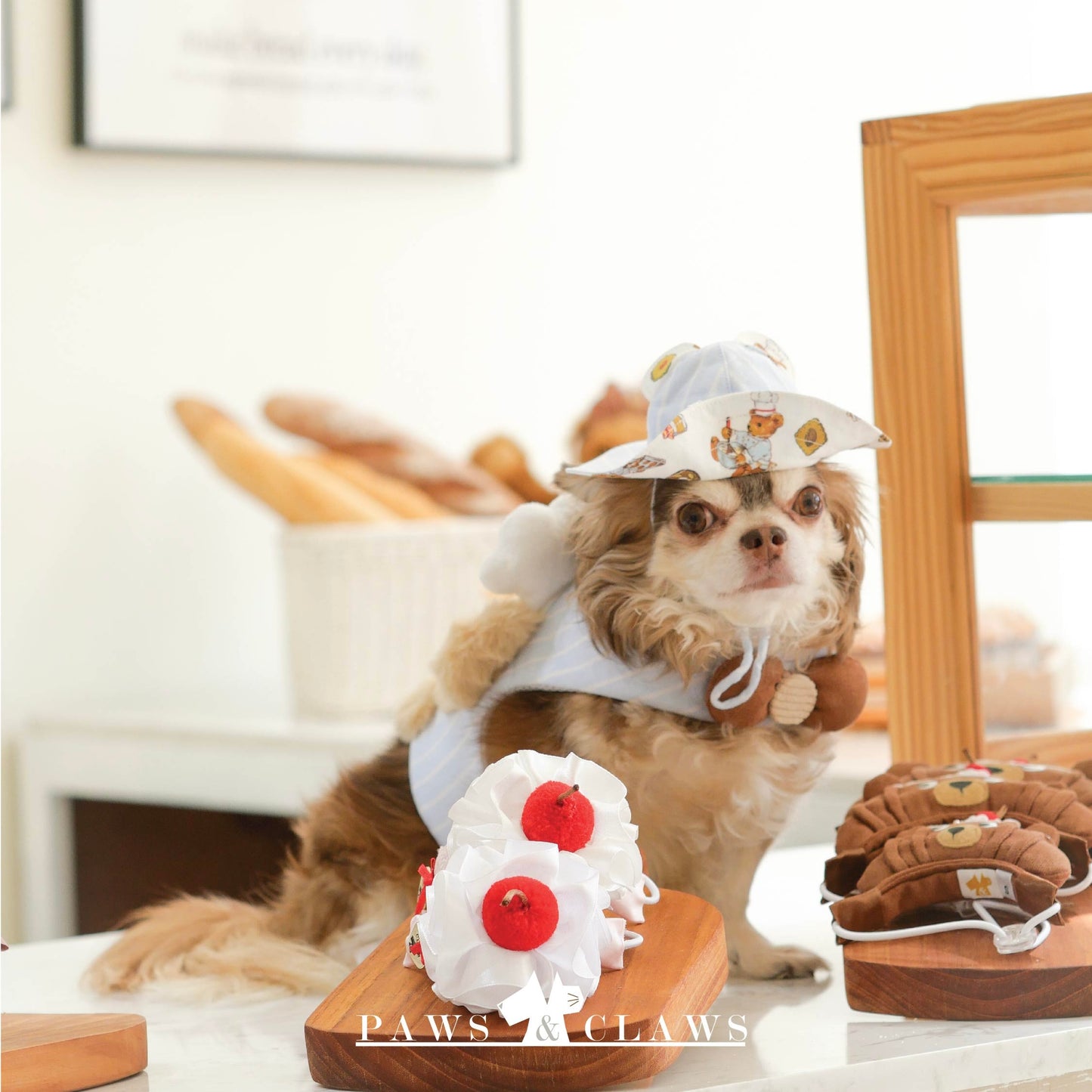 Teddy Harness