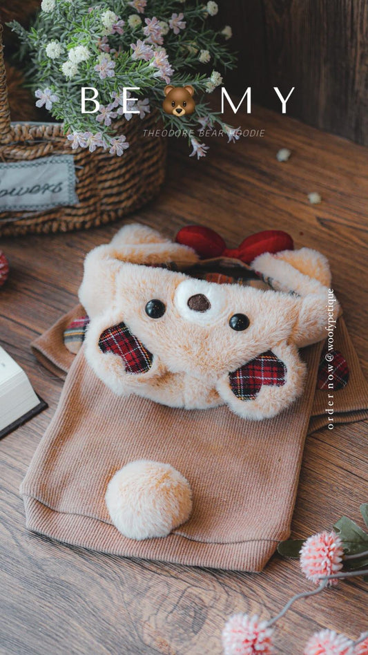 Theodore Boy Hoodie
