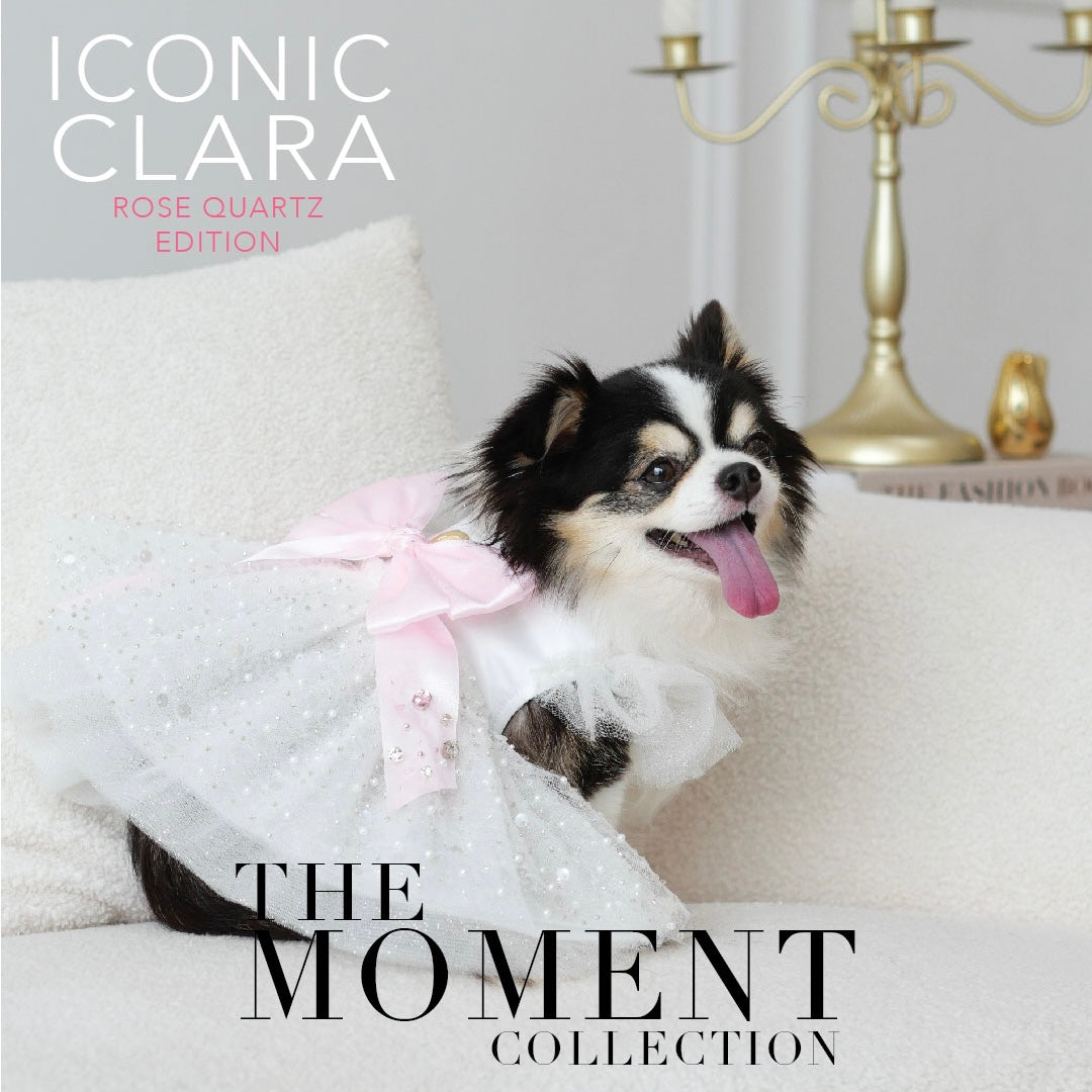 Clara Dress Harness - Pink