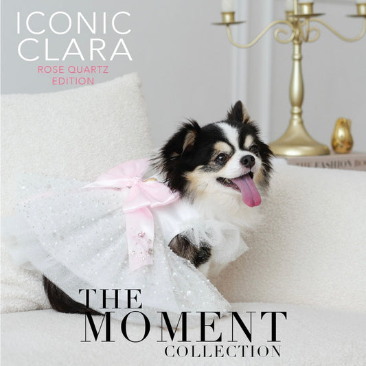 Clara Dress Harness - Pink